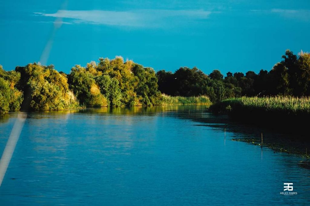 Peisaj din Delta Dunarii. Excursie de o zi cu barca in Delta Dunarii pe lacuri si canale. 6